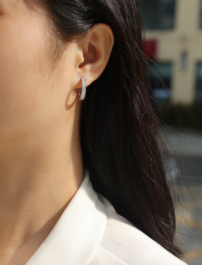 The Lumina Fly Earrings - Moissanite S925 sterling silver plated with platinum