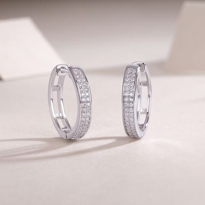 The Lumina Fly Earrings - Moissanite S925 sterling silver plated with platinum